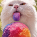 rainbows-and-cats avatar