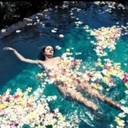 rainbowsandbutterflyss avatar