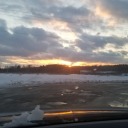 rainbowsaretheshit avatar