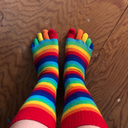 rainbowtoesocks avatar