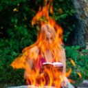 rainbowxbunny avatar