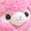 raindrop-cake avatar