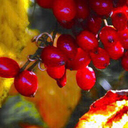 raindropcandy avatar