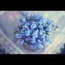 raindrops-and-pavement-blog avatar