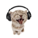 raindrops-falling avatar