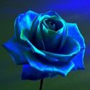 raindropsduringthesunset avatar