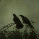 raineydaysghoul avatar