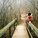 rainfallssunn-blog avatar