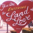 rainforest-daisies avatar