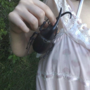 rainforestfae avatar