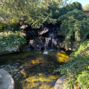 raining-starlight avatar