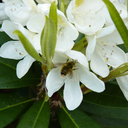 rainingstudies avatar