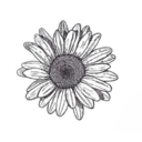 raininmylungs avatar