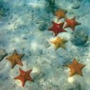 rainn-at-night avatar