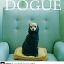 rainsandblackbirds avatar