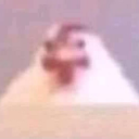 rainstormofficial avatar