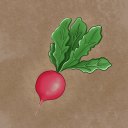 rainstormradish avatar