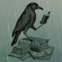 rainstormraven avatar