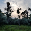 rainy-daze-rainydayz avatar