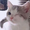 rainy-leaks-omo avatar