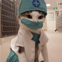 rainyblazepost avatar