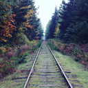 rainydayforest avatar