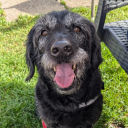 rainydaysandicecreams avatar