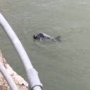 rainydaysunnyevenings avatar