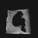 rainydonutzombie avatar