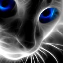 rainyninjastatue avatar