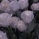 rainyskiesdays avatar