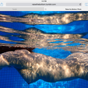 raisethebottom avatar