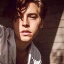 raizdeinfinito avatar