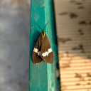 ramblebramblepoetry avatar