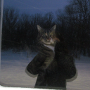 rambling-about-stuff avatar