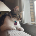 ramblingsofamuskrat avatar