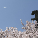 ramen-quester avatar