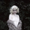 rancidelicate avatar