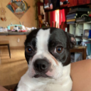 rand0mpers0n2 avatar