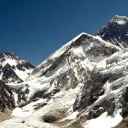 randi-samsonsen avatar