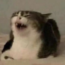 random-fandom-reblog-blog avatar