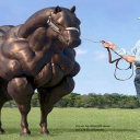 random-horse-heritage-posts avatar