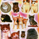 random777stuff avatar