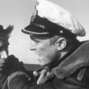 randomcatsstuff avatar