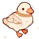 randomducksworld avatar