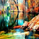 randomfactortees avatar