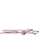 randomizedcraziness avatar