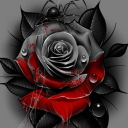 randomizersworld avatar