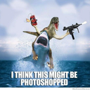 randomletterz avatar