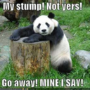 randomnessabroad avatar